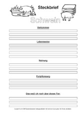 Tiersteckbrief Vorlagen Sw Steckbriefe Tiere Sachthemen Hus Klasse 3 Grundschulmaterial De