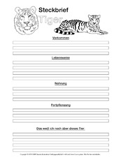 Tiger Steckbriefvorlage Tiersteckbrief Vorlagen Foto Steckbriefe Tiere Sachthemen Hus Klasse 3 Grundschulmaterial De