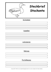 Stockente In Der Grundschule Steckbrief Sw Steckbriefvorlagen Vogel Tiere Sachthemen Hus Klasse 3 Grundschulmaterial De