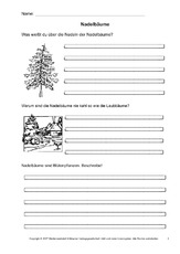 Arbeitsblatt In Der Grundschule Baume Themen Und Projekte Hus Klasse 3 Grundschulmaterial De