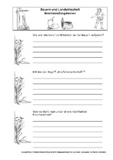 Getreide In Der Grundschule Grundschulmaterial De