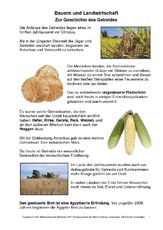 Ernte In Der Grundschule - Bauern-Landwirtschaft - Mittelalter - Ritter -  Themen Und Projekte - Hus Klasse 3 - Grundschulmaterial.de