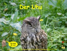 Der uhu präsentation pdf Der uhu präsentation pdf