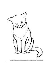 Katze In Der Grundschule Tiere Zum Ausmalen Ausmalbilder