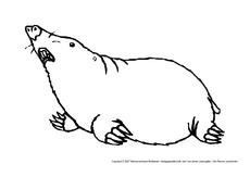Ausmalbild Arbeitsblatt In Der Grundschule Tiere Gemischt Tiere Zum Ausmalen Ausmalbilder Bildende Kunst Material Klasse 1 Grundschulmaterial De