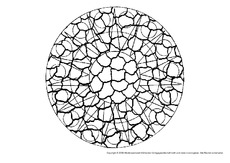 Ausmalbild Fur Einzelarbeit In Der Grundschule Material Unterrichtsmaterial Grundschulmaterial De